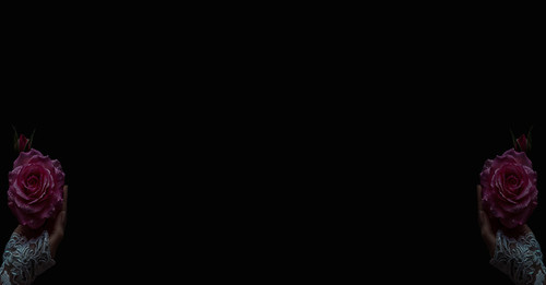 guller.jpg