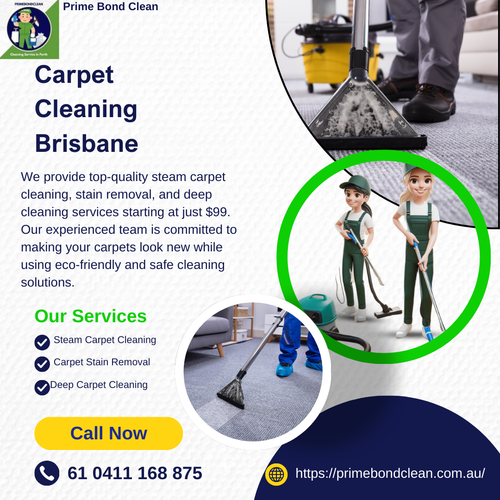 Carpet Cleaning Brisbane (1).png