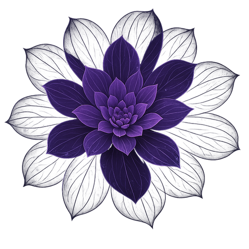 transformed image image transformer 1747077213302.png