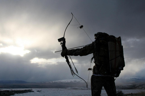 Bow And Arrow