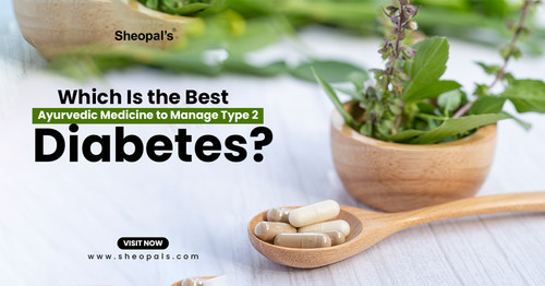 Best Ayurvedic Medicine to Manage Type 2 Diabetes.jpg