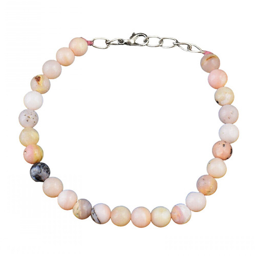 ca.1 PhotoRoom.png PhotoRoom.jpg