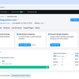 Backlinks Audit Report