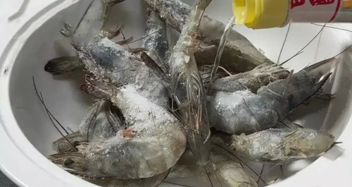 shrimp2505.jpg