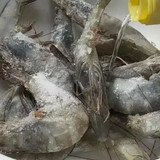 shrimp2505
