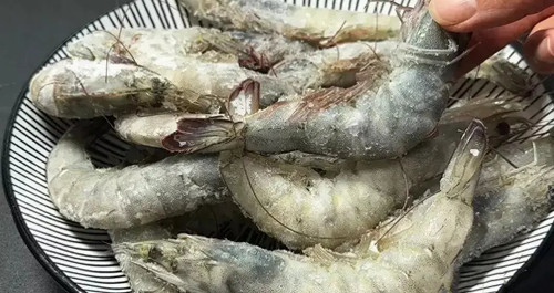 shrimp2503.jpg