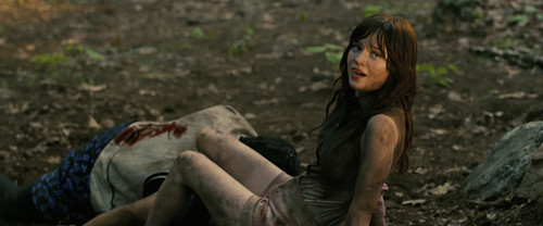 Companion.2025.1080p.AMZN.WEB DL.DDP5.1.x265.10bit Kronos 026.jpg