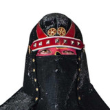 pv shinobi