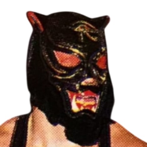 pv black panther.jpg