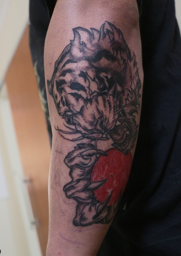 Opera Instantâneo 2025 02 21 180339 www.instagram.com