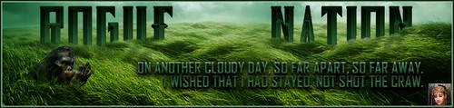 Grass Banner.jpg