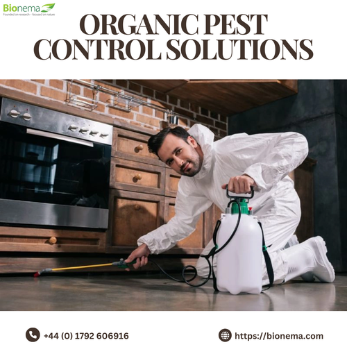 Organic Pest Control Solutions: Safe and Eco-Friendly Protection.png