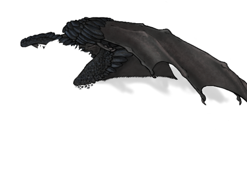 Final Male Adult.png