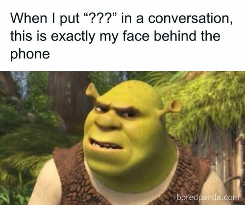 women behaving badly funny memes 5 67b5a950b6f2b 700.jpg