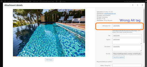 Missing or Wrong Alt Tags.png