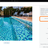 Missing or Wrong Alt Tags