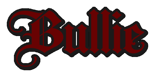 Bullie 2 20 2025.gif