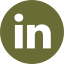 linkedin green.png
