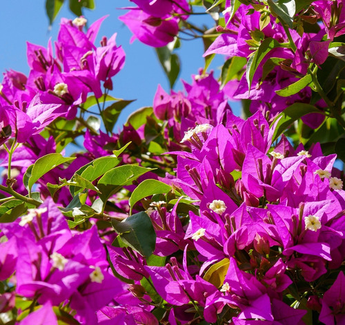 nature 3543981 1920.jpg