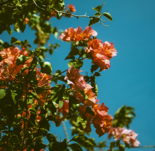 qiera pradiestha kLeAWSw75V0 unsplash.jpg