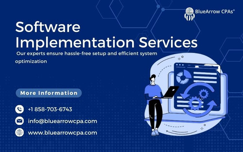 Software Implementation Services.jpg