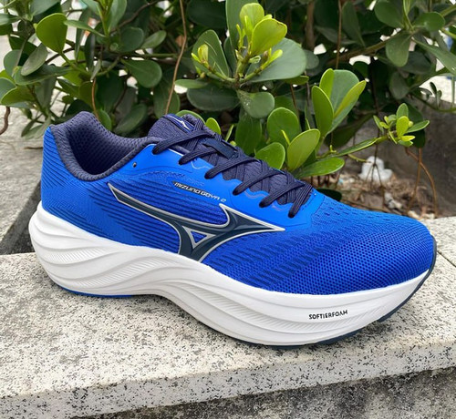 Goya 2 Mizuno.jpg