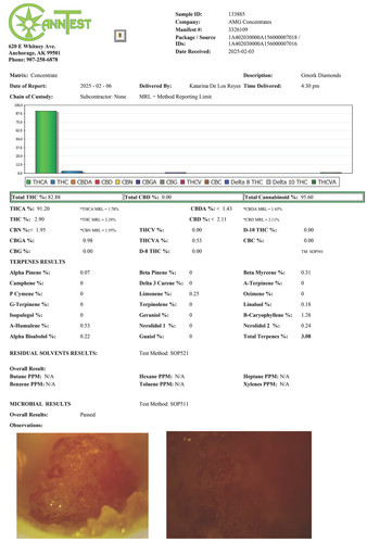 Gmork Diamonds 2 6 25.jpg