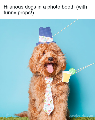 slack imgs 4.png