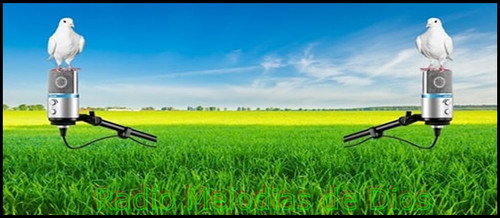 257830594 1495493217476166 7818525498206706725 n.jpg