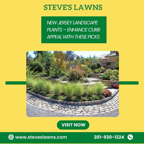 Garden Guide: Ideal Landscape Plants for New Jersey.jpg