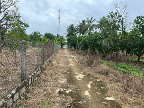 480245547 611702085087717 7270460124957924140 n.jpg