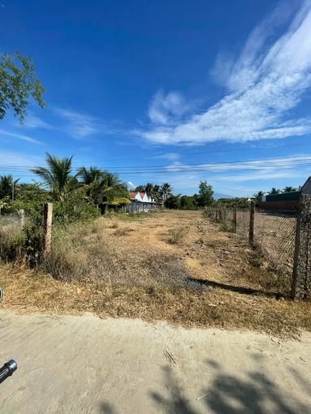 481234374 2996157147228538 1902708585896180765 n.jpg