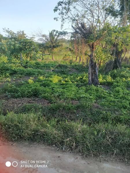 476385311 607086855549240 8911396872539560493 n.jpg