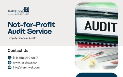 Not for Profit Audit Service simplify financial audits HCLLP.jpg