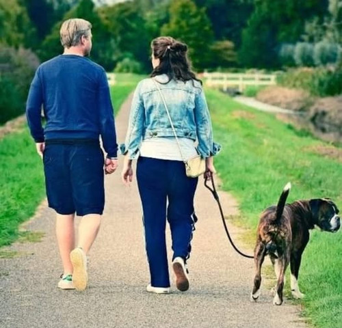 487499861 1099461472196638 8071072347733641068 n.jpg?stp=dst jpg p526x296 tt6& nc cat=110&ccb=1 7& n.jpg