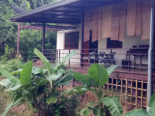 FB IMG 1743330913414.jpg