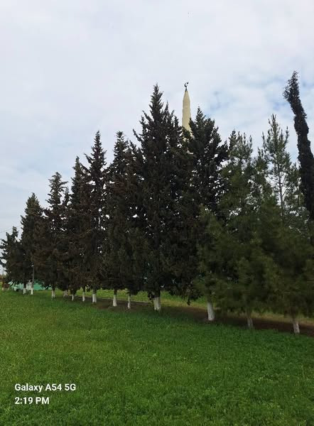 486660787 122190215156120032 6527303307395992409 n.jpg?stp=dst jpg s600x600 tt6& nc cat=103&ccb=1 7&.jpg