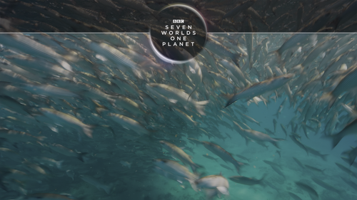 20250329 205808 908746.png