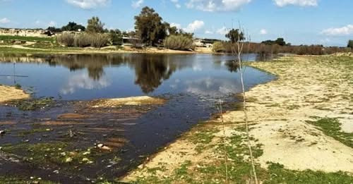 3208769127075841657?url=https%3A%2F%2Fwww.qha.com.tr%2Fcdn%2Fg1G5pd EgQYAFZtqdR7CFfhDVOw%3D%2F1200x6.jpg