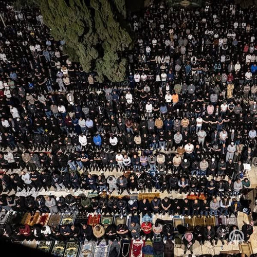 487925881 992700359624738 8272002694868711457 n.jpg?stp=dst jpg s600x600 tt6& nc cat=105&ccb=1 7& nc.jpg