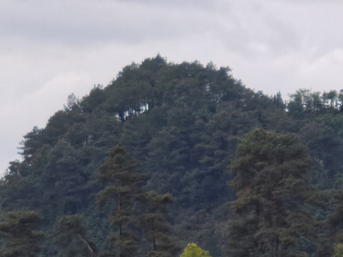 IMG 20250330 131107.jpg