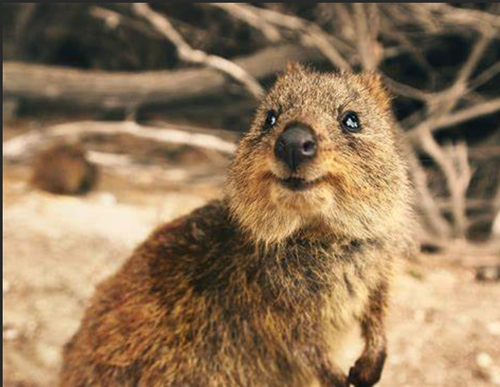 Screenshot 2025 03 31 172651.png