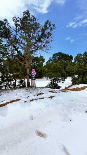 UKae0umTY i6Kcyh.jpg