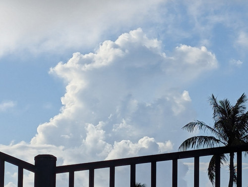 PXL 20240930 212905635