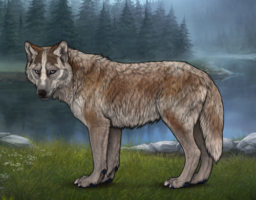 00A37A12 0453 495C B6DF 3A57C91E8071.png