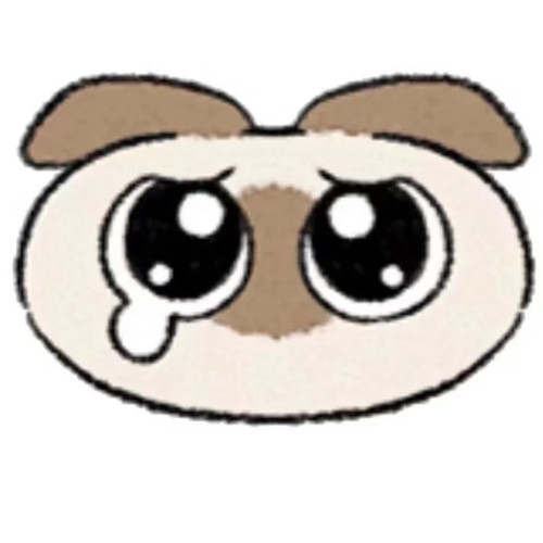 Screenshot 20250329 175837 com.xingin.xhs edit 2017657060969731.jpg