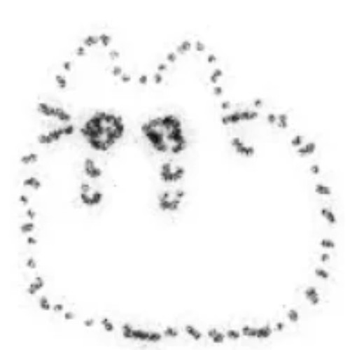 Screenshot 20250329 175914 com.xingin.xhs edit 2017675339373374.jpg