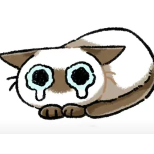 Screenshot 20250329 175817 com.xingin.xhs edit 2017453865025491.jpg