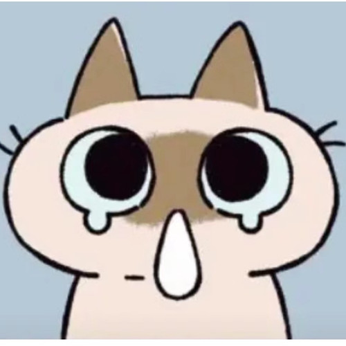 Screenshot 20250329 175829 com.xingin.xhs edit 2017432844669244.jpg