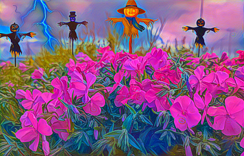 8CC29F10 A7F8 4A08 A3EF 97A06B521C1B.jpg